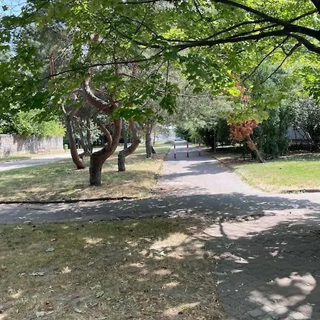 公寓 2,5 Izbovy V Ruzinove