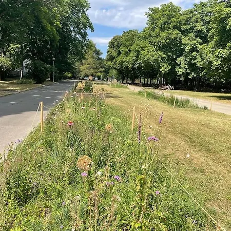 公寓 2,5 Izbovy V Ruzinove 布拉迪斯拉发