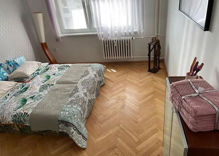 2,5 Izbovy V Ruzinove Apartment