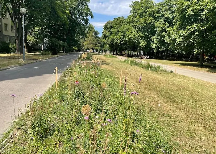 Apartment 2,5 Izbovy V Ruzinove Bratislava